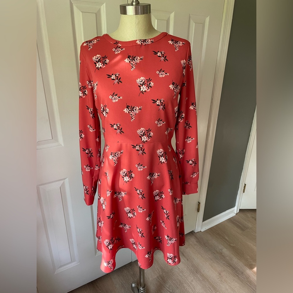 NWT Loft petite dress